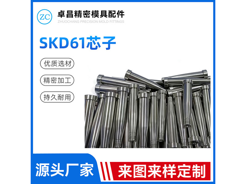 SKD61芯子