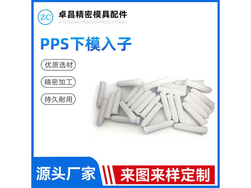 PPS下模入子